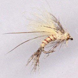 EMERGER MARCH BROWN