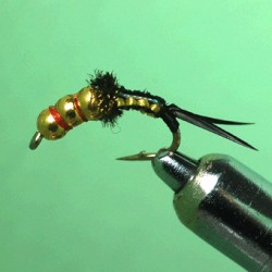 ROULETTE TUNG TRI RAM 3