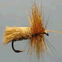 TC GODDARD CADDIS