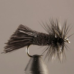 LONG BLACK GODDARD CADDIS SA